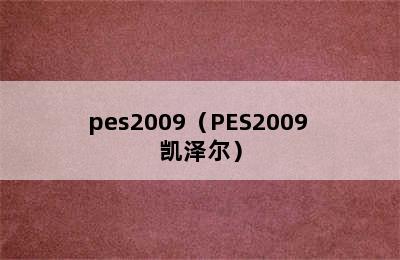 pes2009（PES2009 凯泽尔）